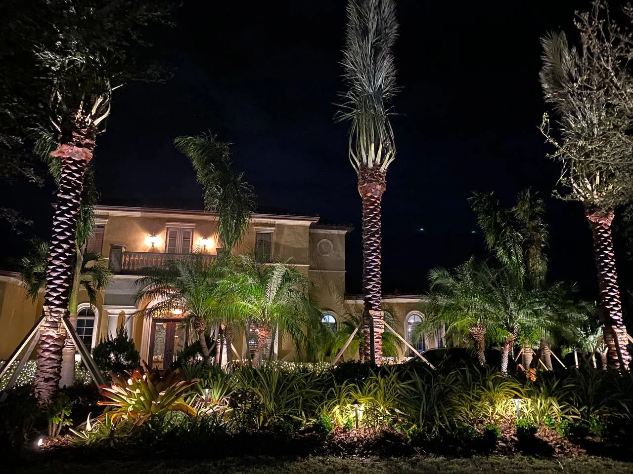 Illuminated Sarasota estate at night with uplit palms and layered tropical plantings